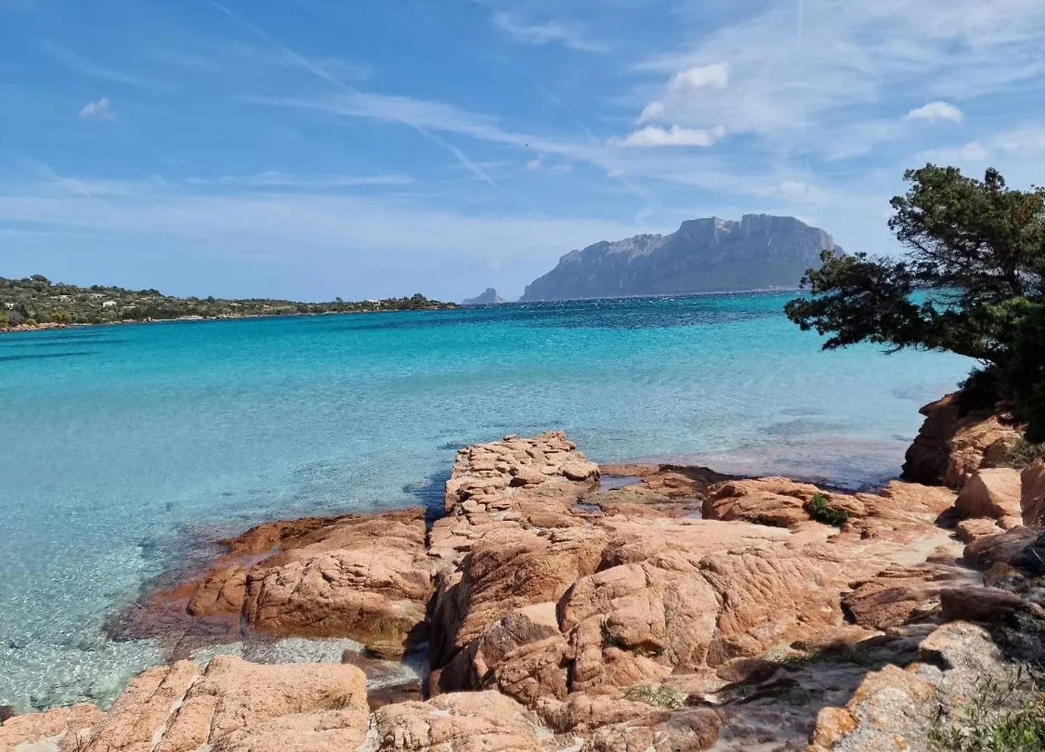 Appartamento Le Viole Olbia